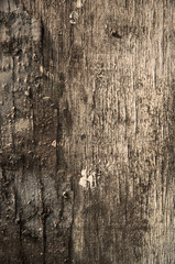 old wooden board, background