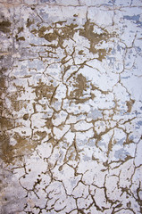 old wall texture