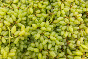 Green juicy grapes in the supermarket. Close-up. Background. Space for text.