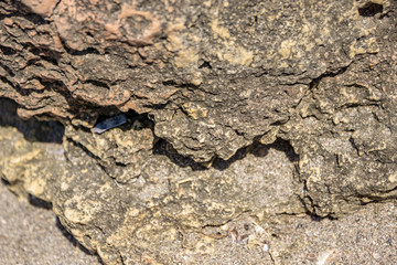 Closeup of a stone cliff into the sea on the north coast of the Black Sea. Summer inspirations. Shallow depth of focus.