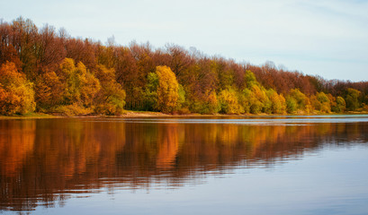 Naklejka na ściany i meble Panoramic landscape with forest lake in autumn rainy day