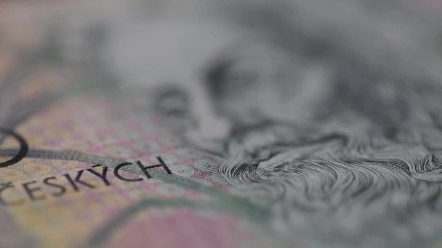 Koruna česk&aacute; ft8106_0317 Czech crown Чешская крона