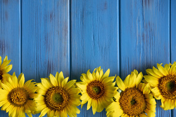 Autumn banner with flowers of sunflower on a blue wooden background. Frame for greeting card with flowers of sunflower. View from above