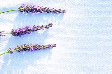 lavender on white linen