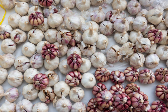 Fresh garlic for sale on street market in Botafogo