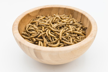 edible mealworms isolated high quality