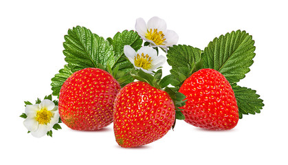 Strawberry with flower isolated on white background