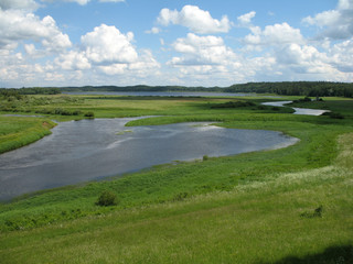 Fototapeta na wymiar View of the Sorot river near Pushkin's estate. Mikhaylovskoye Museum Reserve, Russia
