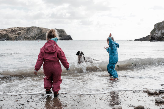 blonde girl and boy playing at the beach with a dog playing in the sea