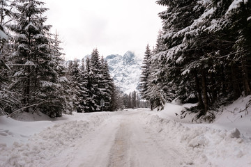 Winter country road with spruce forest on the side of the road cloudy day