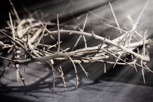 Thorn wreath as a symbol of death and resurrection of Jesus Christ. Horizontal photo.