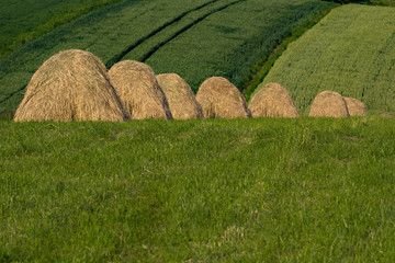Sianokosy