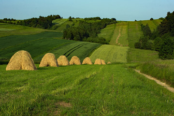 Sianokosy © piotrwolak