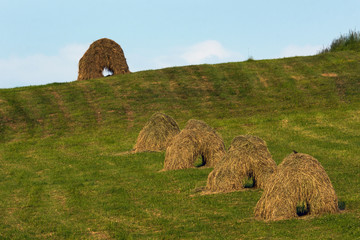 Sianokosy © piotrwolak