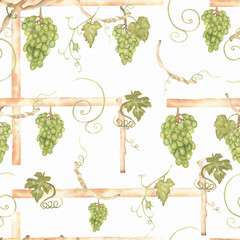 Beautiful watercolor hand drawn seamless green and yellow pattern with grapes branches and leaves.  Isolated on white background.Perfect for your design.Harvest sweet time.