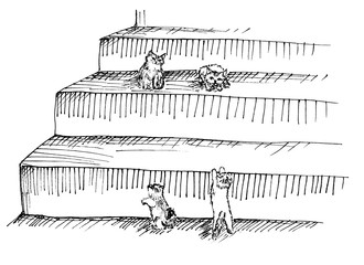 little kittens on the steps. Black and white illustration drawn by hand.