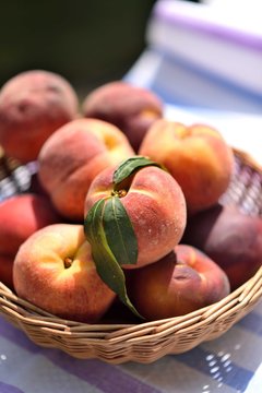 Basket full of peaches, closeup, sunny summer day