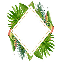 Fototapeta na wymiar Palm beach tree leaves jungle botanical. Watercolor background illustration set. Frame border ornament square.