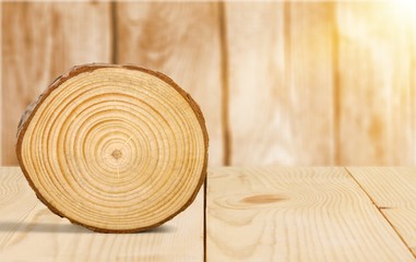 Slice of wood with bark and growth rings on the isolated white background