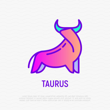 Taurus thin line icon. Modern vector illustration of astrological sign for horoscope.