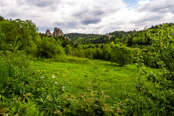 Fototapeta na wymiar Green mountains and mountain valleys in the Ukrainian Carpathians, Lviv region