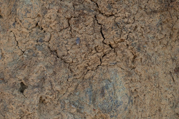 Brown texture of a dirt road. Abstract cracks on the soil surface.