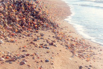 the sea coast from shells