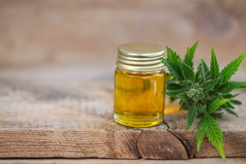 Medical marijuana cannabis cbd oil