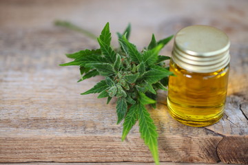 Medical marijuana cannabis cbd oil