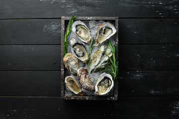 Oyster with lemon on ice. Seafood. Top view. On a black background. Free copy space.