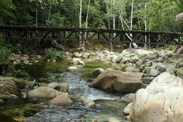 Naklejka na ściany i meble waterfall stones water flowing nature tree bridge