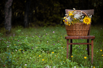 Basket with a bouquet of meadow flowers and a sunflower on a chair in the garden. Retro style, vintage.