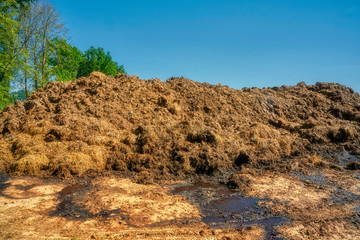 Heap of natural manure to the soil, Poland, Europe