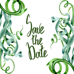 Green succulent floral botanical flowers. Watercolor background illustration set. Frame border ornament square.