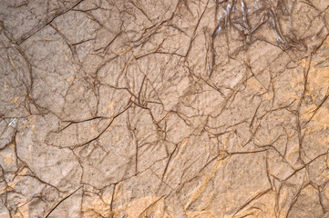 texture of mint brown paper background close-up