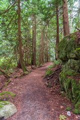 Obraz premium View at Mountain Trail in British Columbia, Canada. Forest Background.