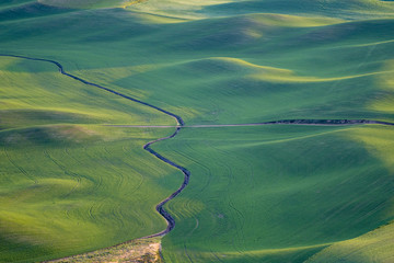 Golden hour sunset aerial view of The Palouse region of Eastern Washington State, as seen from Steptoe Butte State Park, of green style rolling farmland and hills © MelissaMN