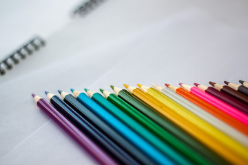 seventeen colored pencils lie in a row on white sheets of paper