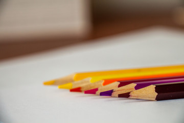 Fototapeta premium six multi-colored pencils lie in a row on white sheets of paper