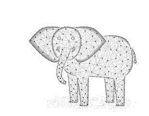 Elephant low poly design, African animal polygonal wireframe vector illustration made from points and lines on a white background