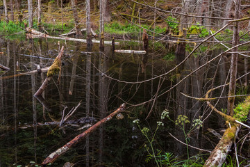 View at Mountain Lake with Dramatic Clouds in British Columbia, Canada.