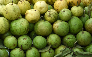 Fresh green indian guava at the market in Mumbai