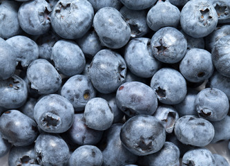 Fresh blueberry background. Texture blueberry berries close up