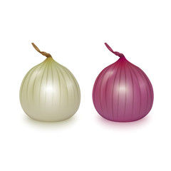 Obraz premium Vector fresh whole red and white onion bulbs on white background. Realistic vector, 3d illustration