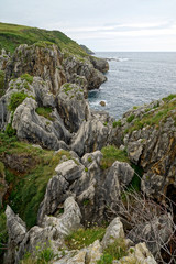 Cantabrian Coast