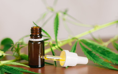 Fototapeta premium Bottle of CBD cannabis oil. Health marijuana with cannabidiol content. Pharmaceutical hemp drug preparation with safe cannabinoids