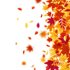 Autumn falling leaves. Nature background with red, orange, yellow foliage. Flying leaf. Season sale. Vector illustration.