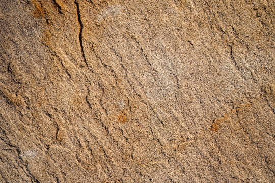 Blat Bilder Durchsuchen 4,642 Archivfotos, und Videos