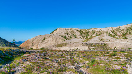 Fototapeta na wymiar Hiking Trail At Mount Saint Helens National Monument