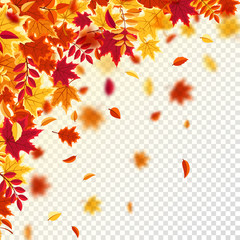 Naklejka na ściany i meble Autumn falling leaves. Nature background with red, orange, yellow foliage. Flying leaf. Season sale. Vector illustration.